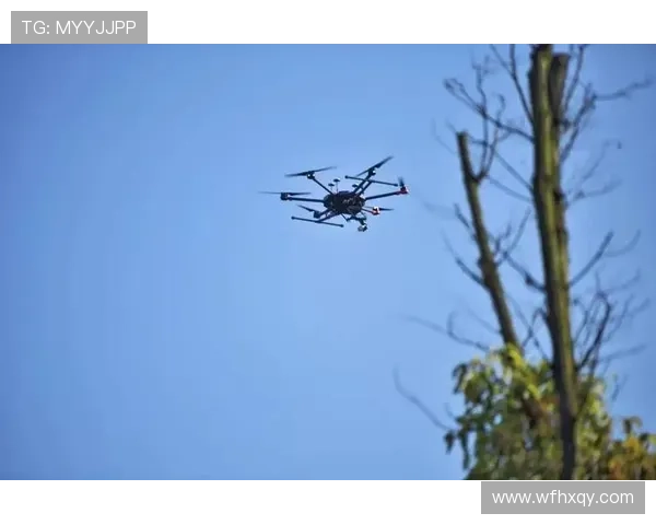 龙贾伊：力争完美收官 目标明确不动摇